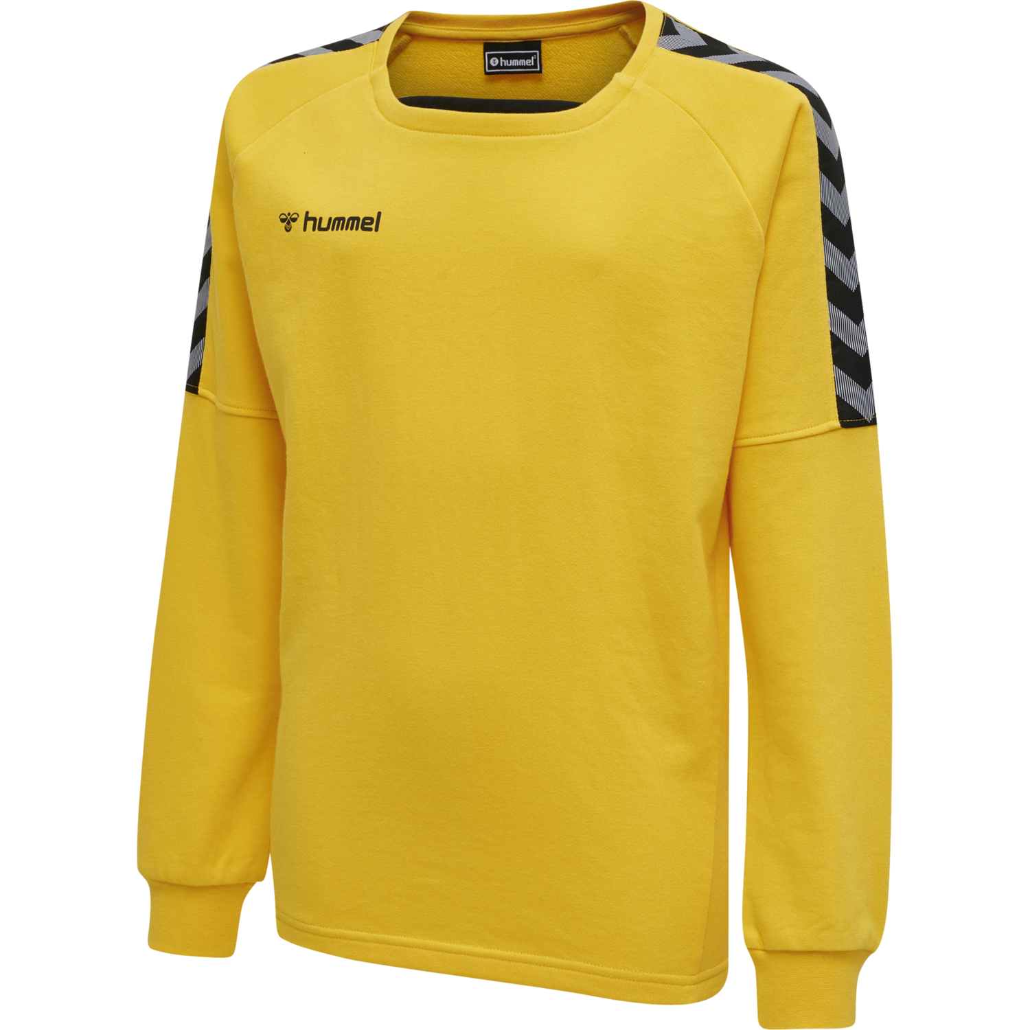 hmlAUTHENTIC KIDS TRAINING SWEAT, SPORTS YELLOW, packshot