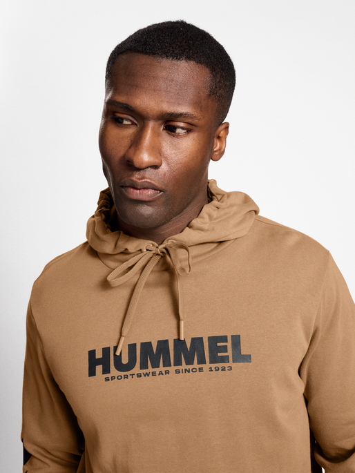 hmlLEGACY LOGO HOODIE, TIGERS EYE, model