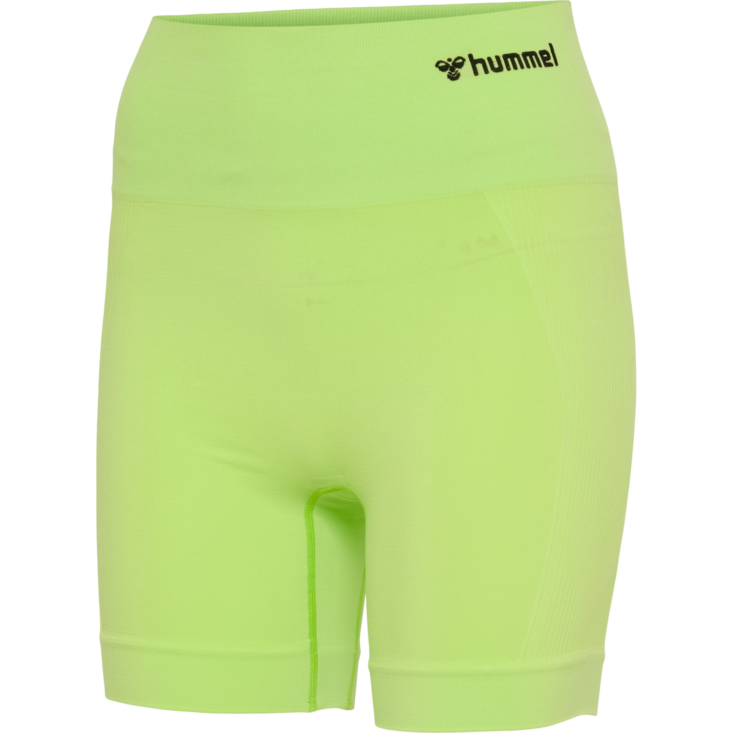 hmlTIF SEAMLESS SHORTS, SHARP GREEN, packshot