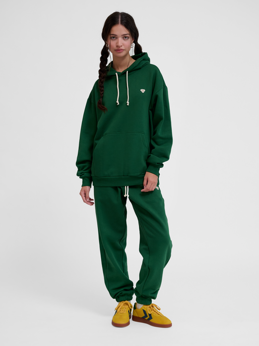 hmlLOOSE HOODIE BEE, EDEN, model