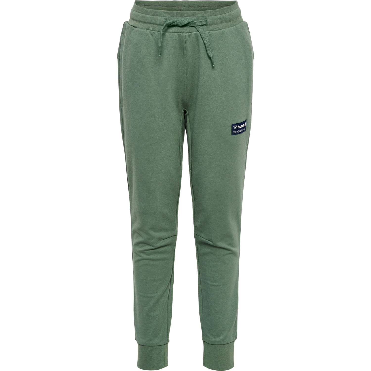 hmlEDDY PANTS, LAUREL WREATH, packshot