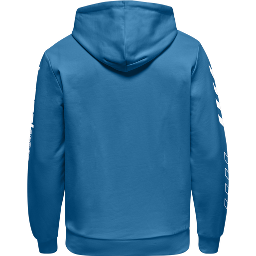 hmlLGC BIRK HOODIE, 7042, packshot