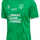 BRIGHT GREEN