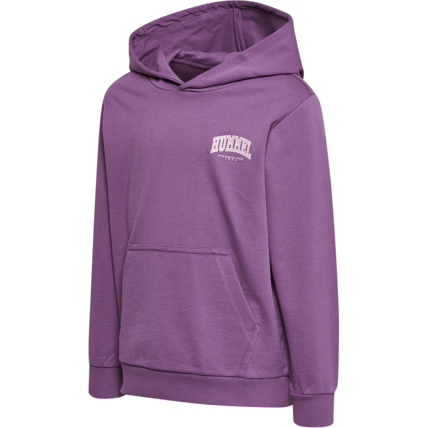 hmlFAST HOODIE, ARGYLE PURPLE, packshot