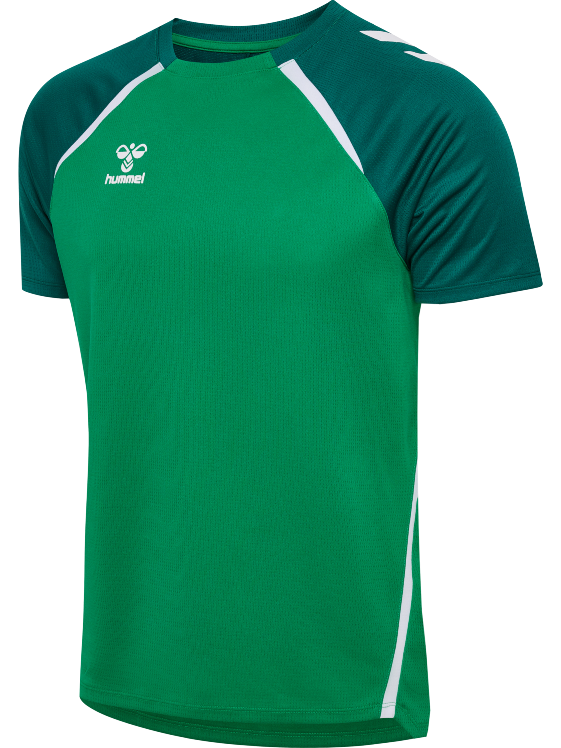 JELLY BEAN/EVERGREEN