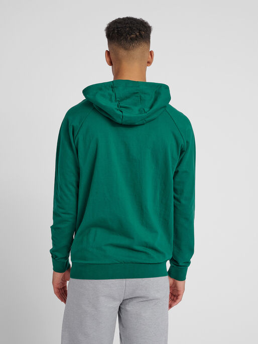 HMLGO COTTON LOGO HOODIE, EVERGREEN, model
