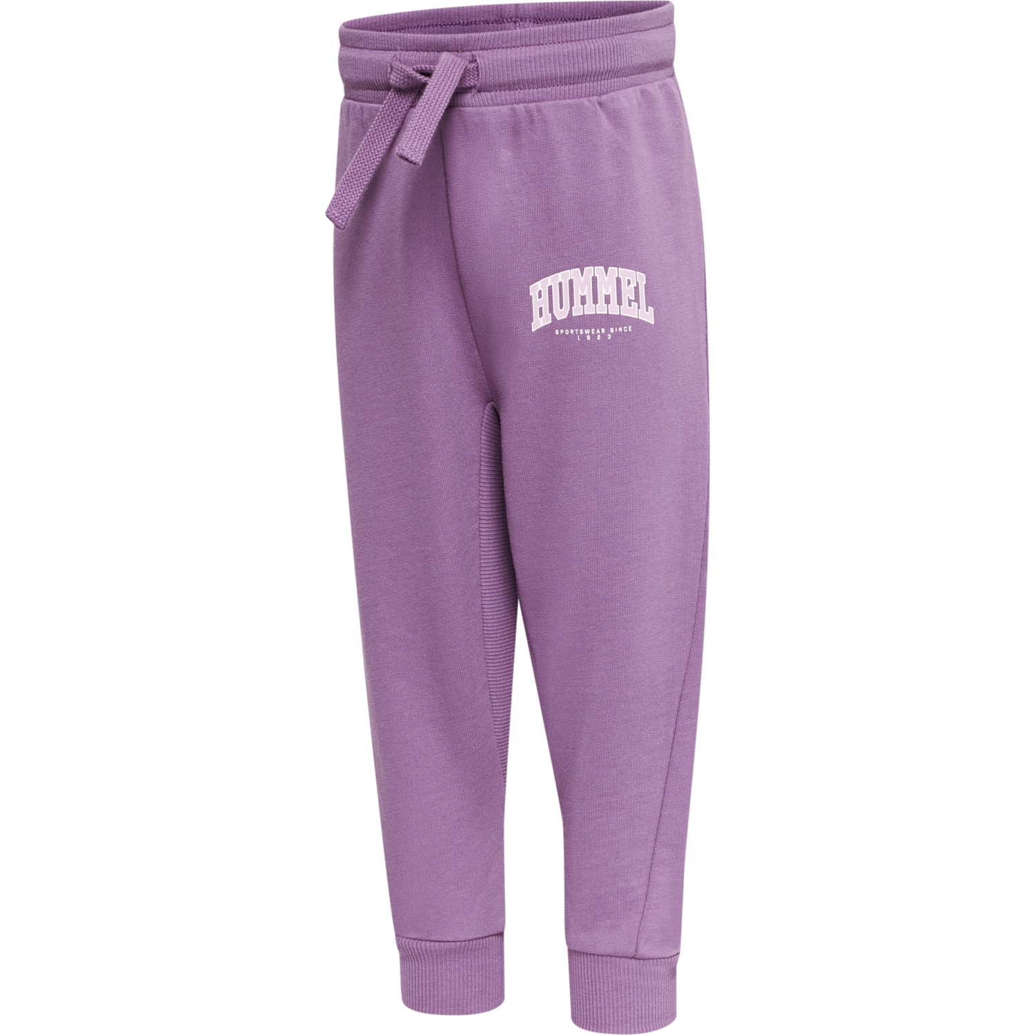 hmlFAST APPLE PANTS, ARGYLE PURPLE, packshot