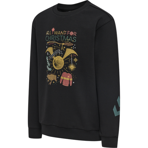 hmlHARRY POTTER DOS SWEATSHIRT, BLACK, packshot