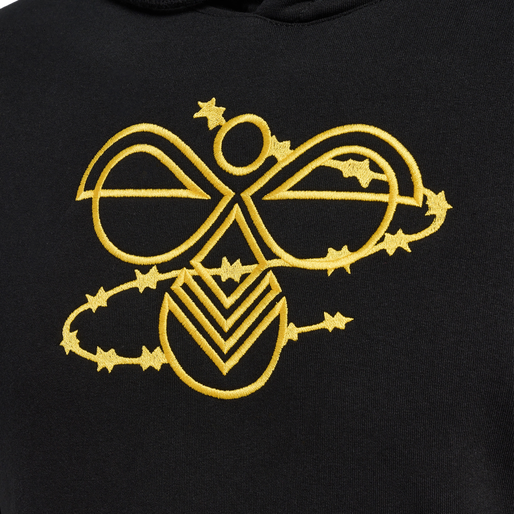 hmlAMNESTY HOODIE, 2001, packshot