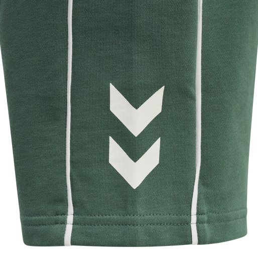 hmlDEXTER SHORTS, 5064, packshot