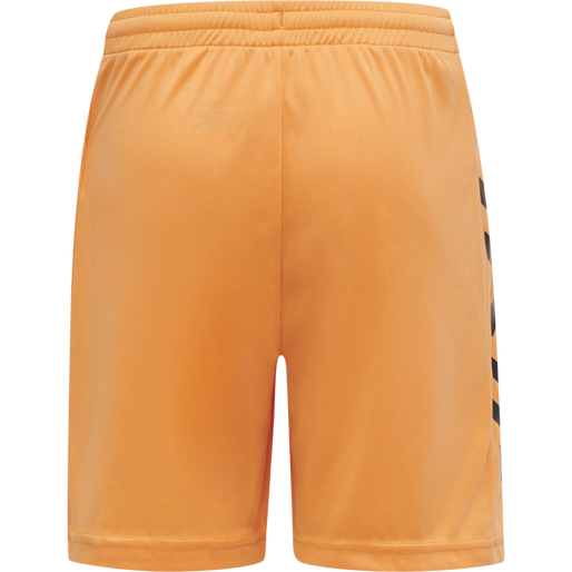 CORE KIDS GK SET, TANGERINE, packshot