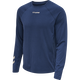 INSIGNIA BLUE