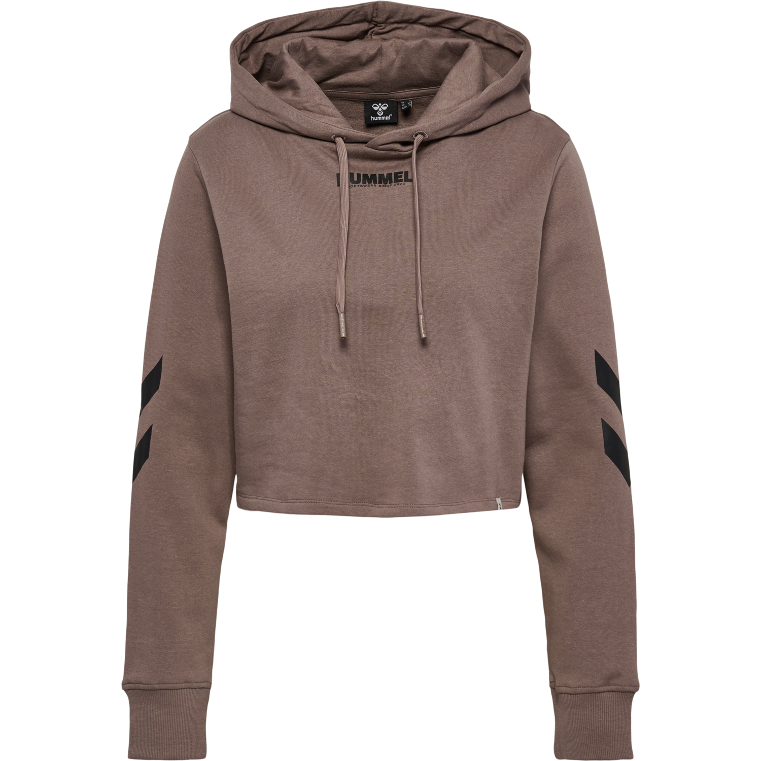 hmlLEGACY WOMAN CROPPED HOODIE, IRON, packshot