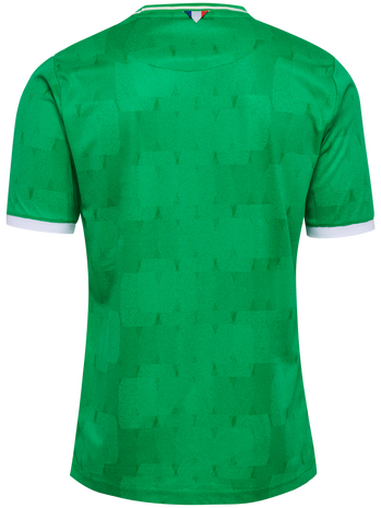ASSE 23/24 HOME JERSEY S/S, BRIGHT GREEN, packshot