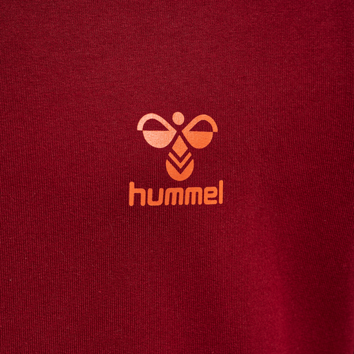 hmlOFFGRID COTTON HOODIE KIDS, RHUBARB/NASTURTIUM, packshot