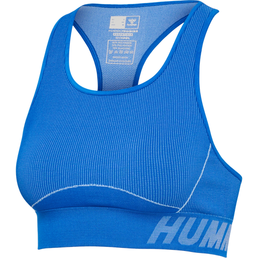 hmlTE CHRISTEL SEAMLESS SPORTS TOP, PLACID BLUE, packshot