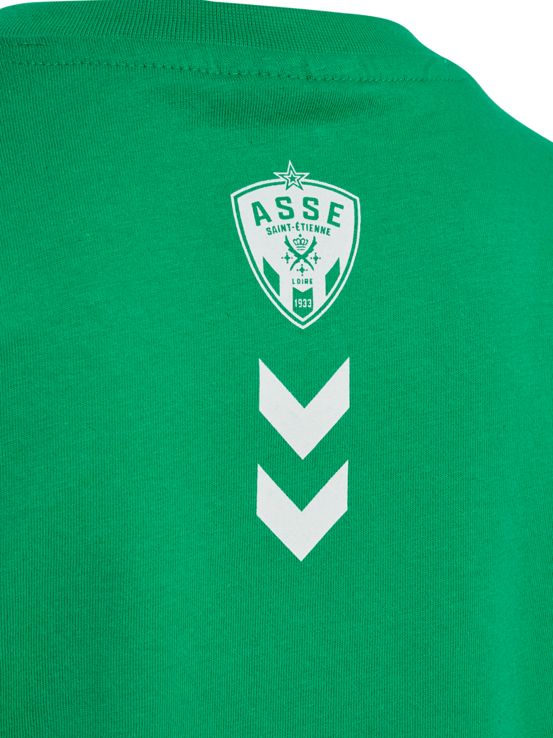 ASSE 22/23 FAN GREEN T-SHIRT S/S KI, JELLY BEAN, packshot