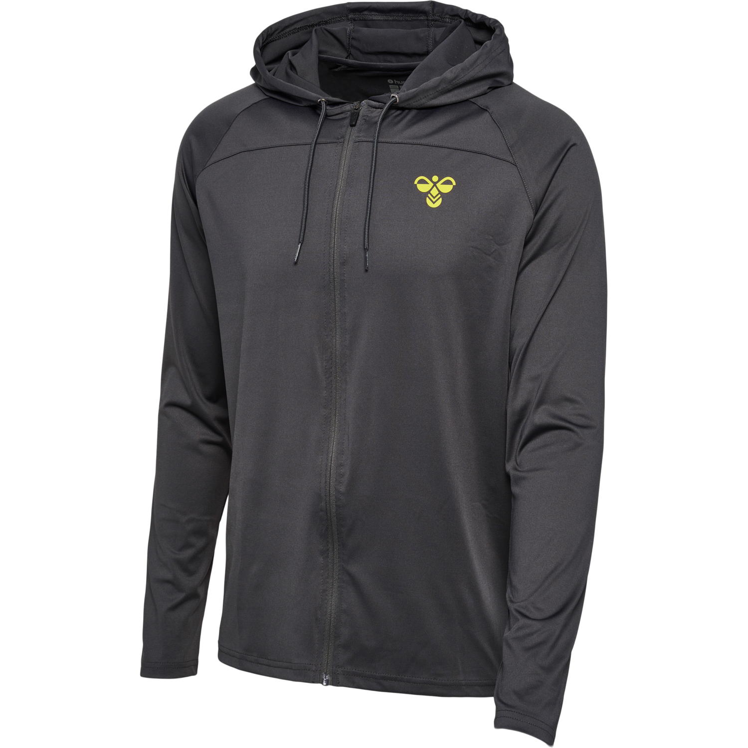 hmlGG12 TRAINING HOODIE, 2162, packshot