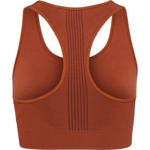 hmlMT SHAPING SEAMLESS SPORTS TOP, ARABIAN SPICE, packshot