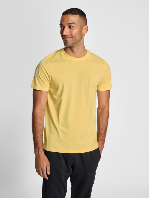 hmlLEGACY CHEVRON T-SHIRT, GOLDEN HAZE, model