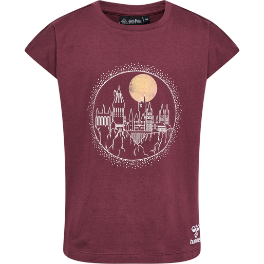 hmlHARRY POTTER T-SHIRT, 3679, packshot