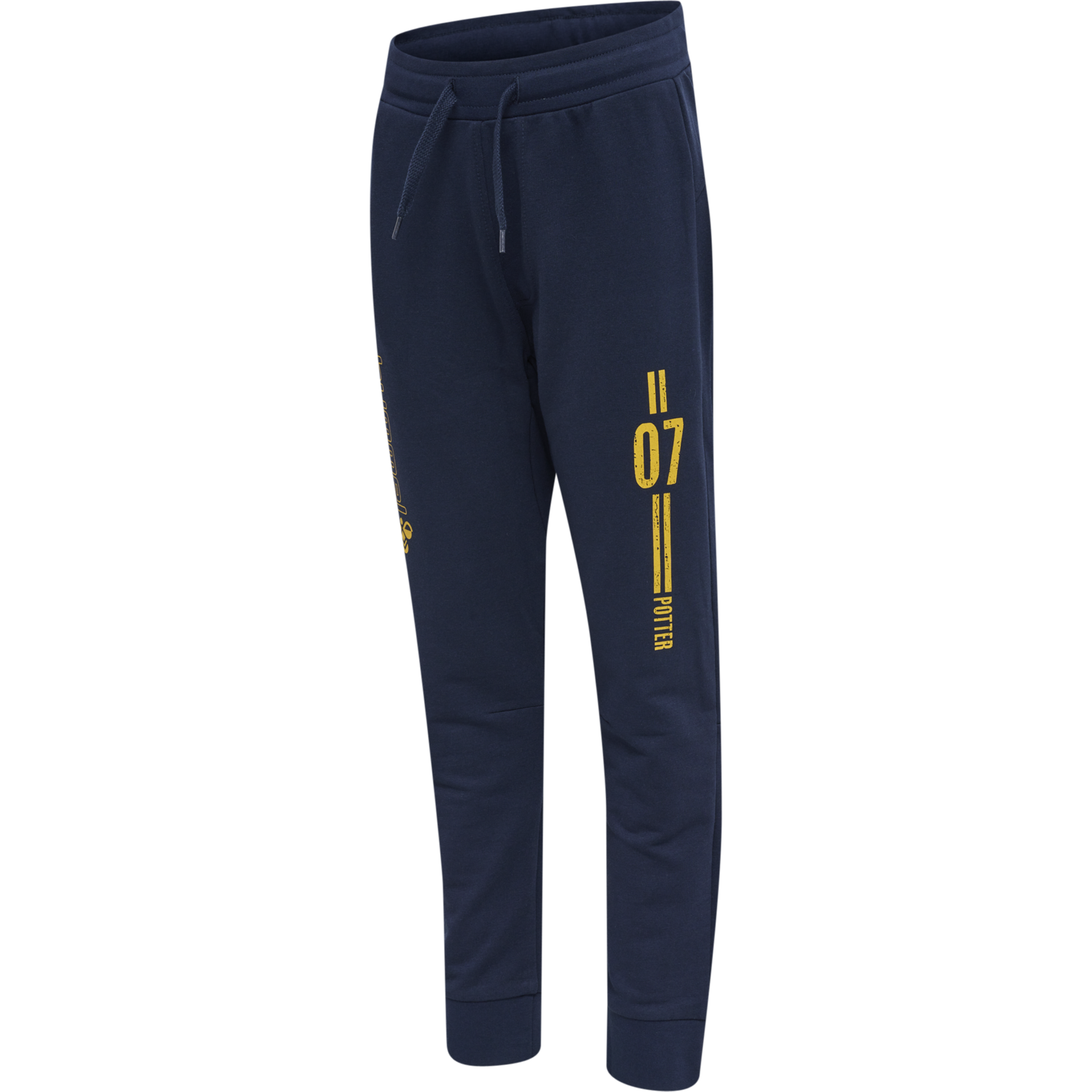 hmlHARRY POTTER ON PANTS, BLACK IRIS, packshot