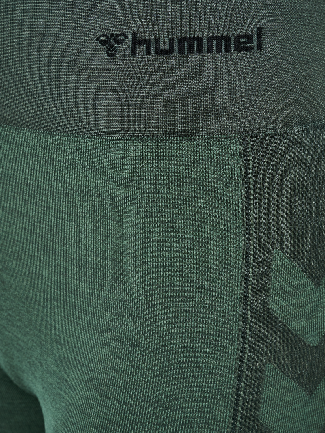 hmlCLEA SEAMLESS CYCLING SHORTS, CLIMBING IVY/BEETLE MELANGE, packshot