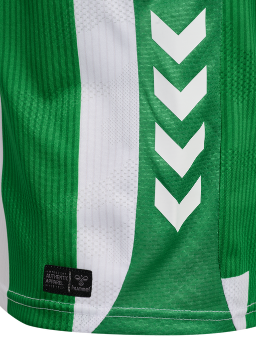 RBB 25/26 HOME JERSEY S/S KIDS, FERN GREEN/WHITE, packshot