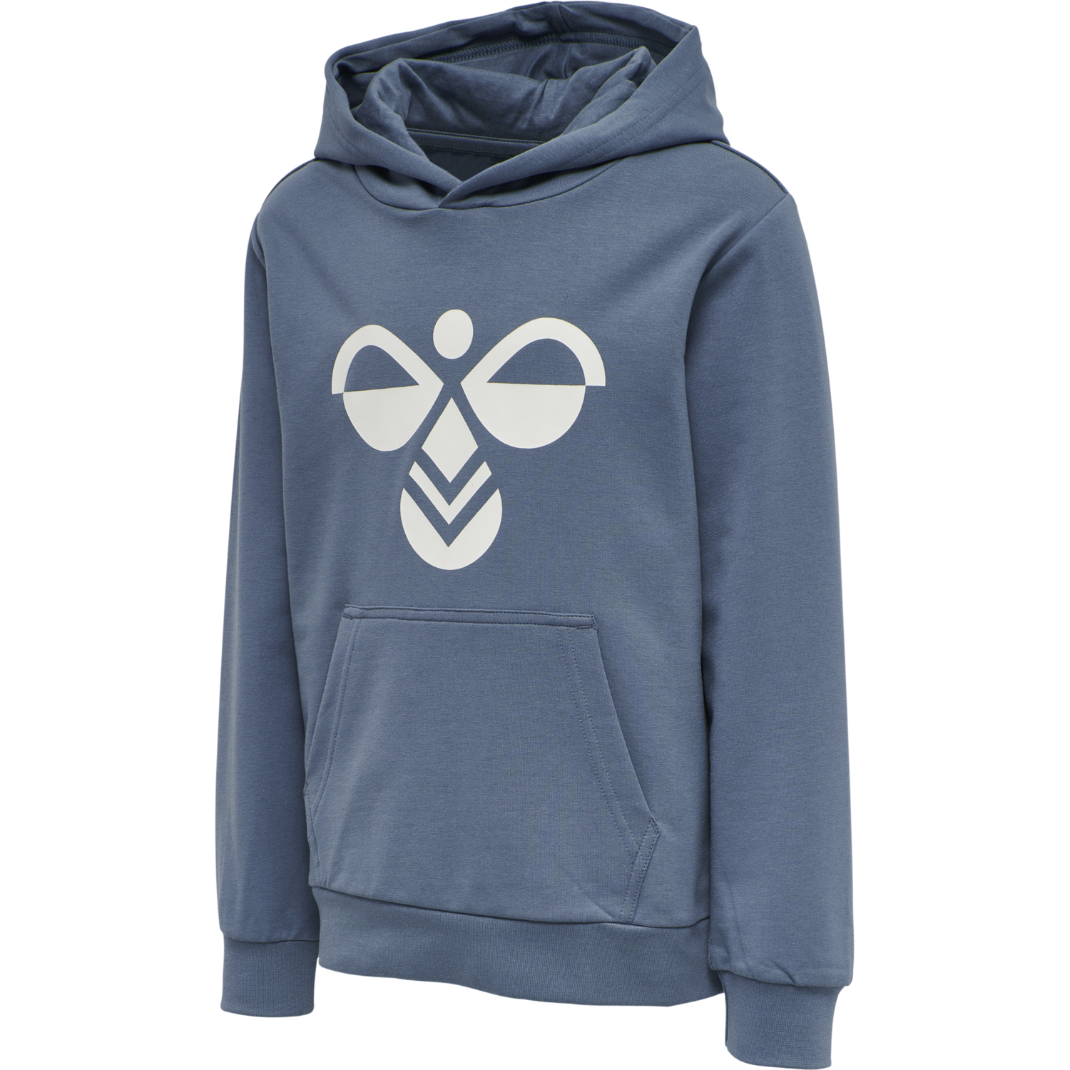 hmlCUATRO HOODIE, 8252, packshot