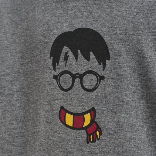 hmlHARRY POTTER CUATRO HOODIE, MEDIUM MELANGE, packshot