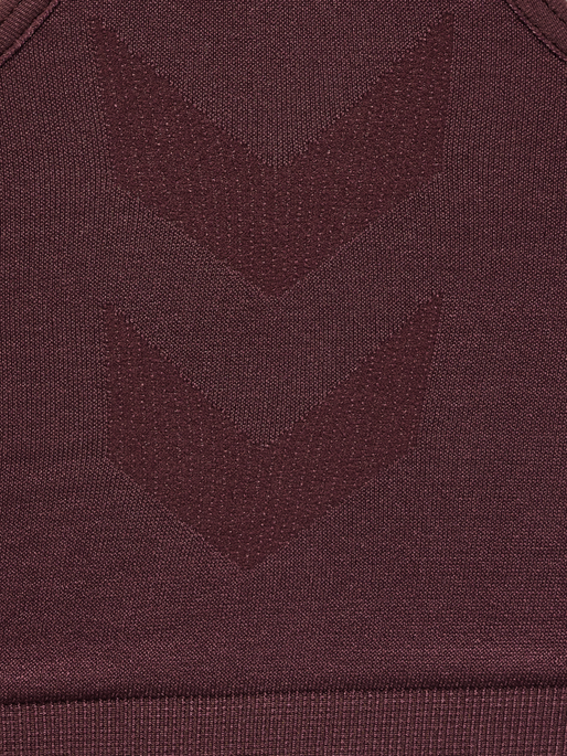 hmlTIF SEAMLESS SPORTS TOP, FUDGE, packshot