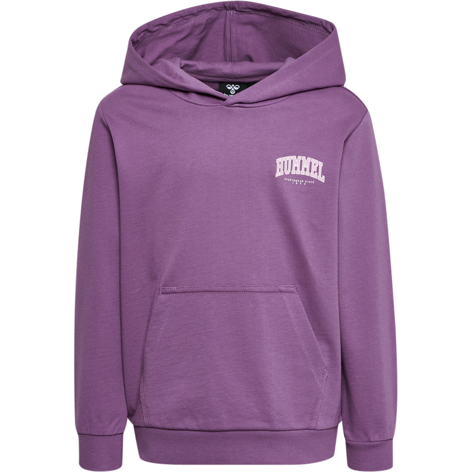 hmlFAST HOODIE, ARGYLE PURPLE, packshot