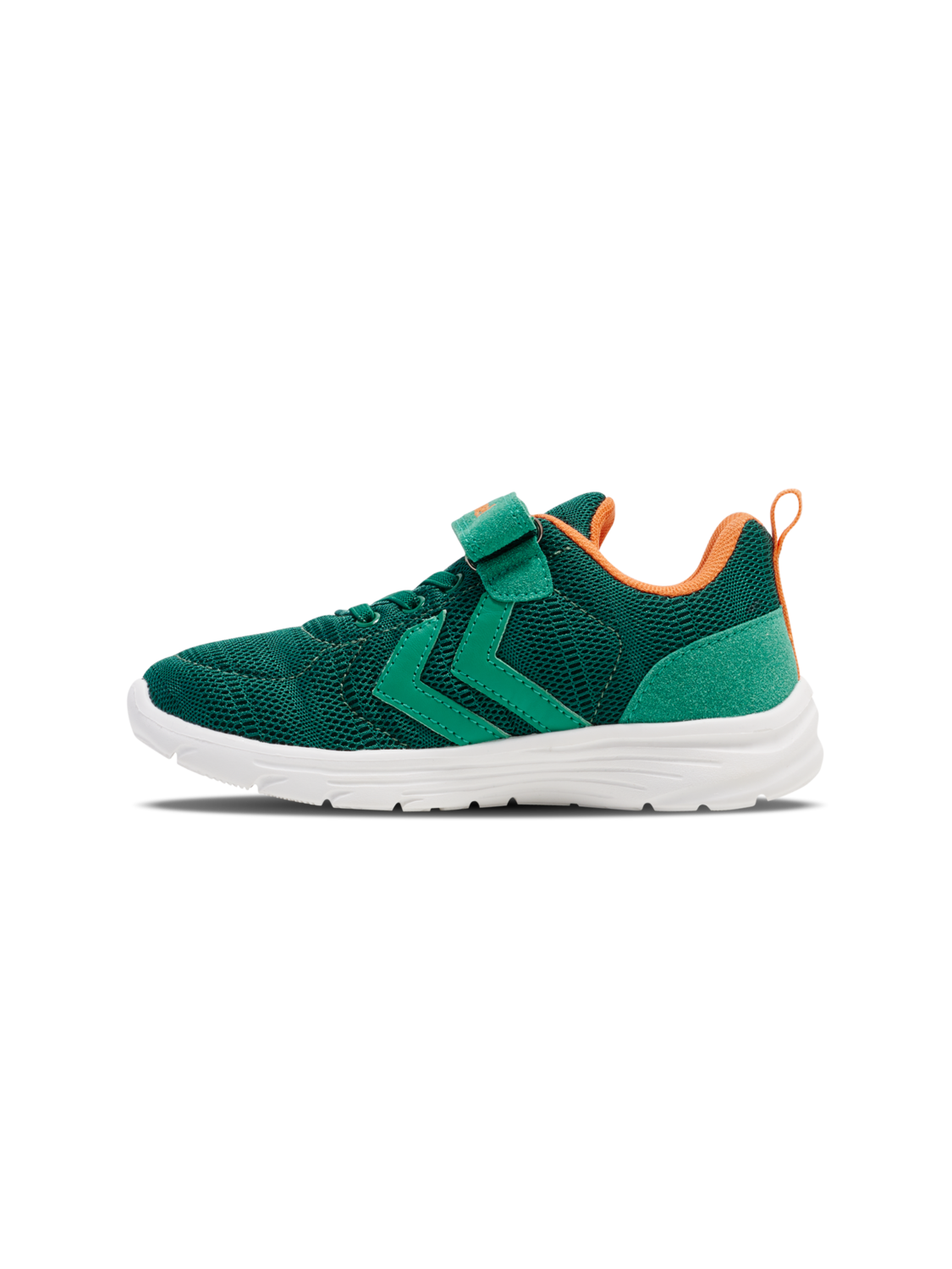 PACE JR, !EVERGREEN, packshot