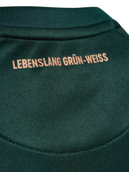 WER 25/26 3RD JERSEY S/S KIDS, SCARAB, packshot