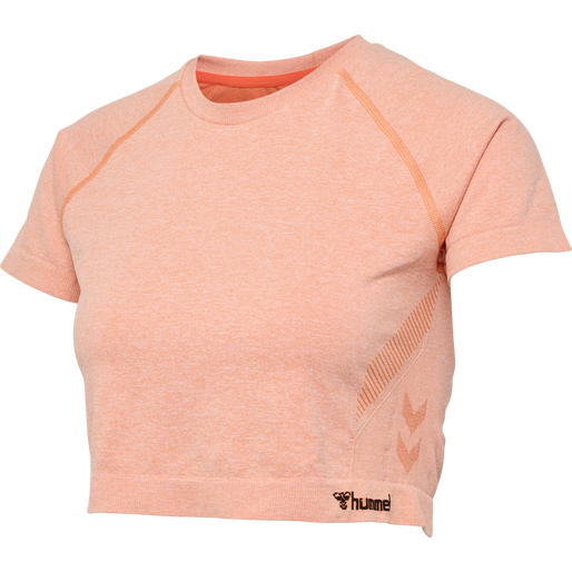 hmlCI SEAMLESS CROPPED T-SHIRT, CANYON SUNSET MELANGE, packshot