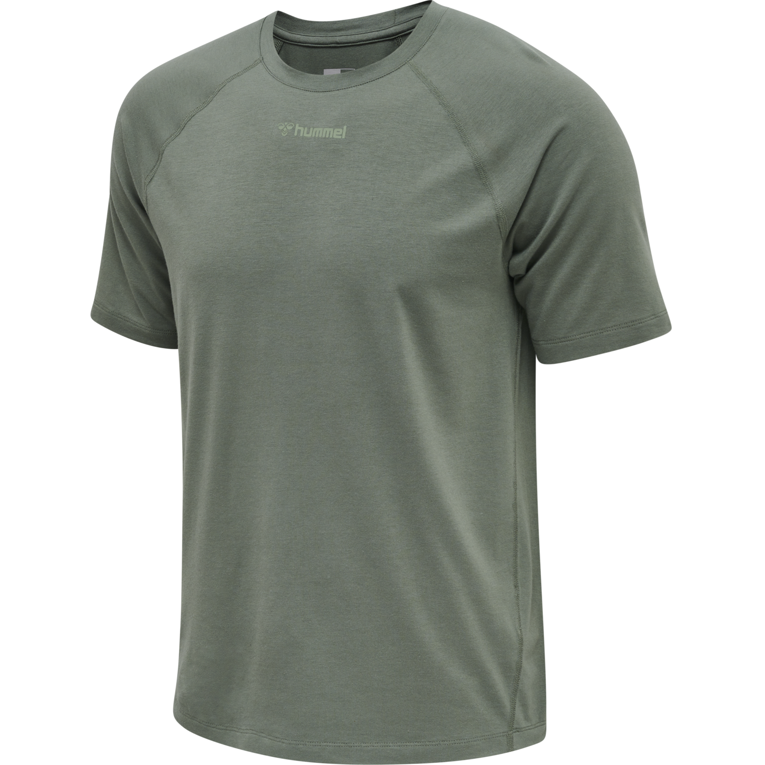 hmlMT LAZE T-SHIRT, LAUREL WREATH, packshot