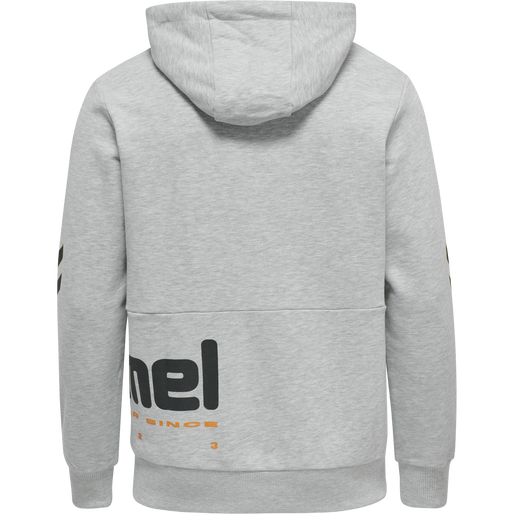 hmlLGC MANFRED HOODIE, 2010, packshot