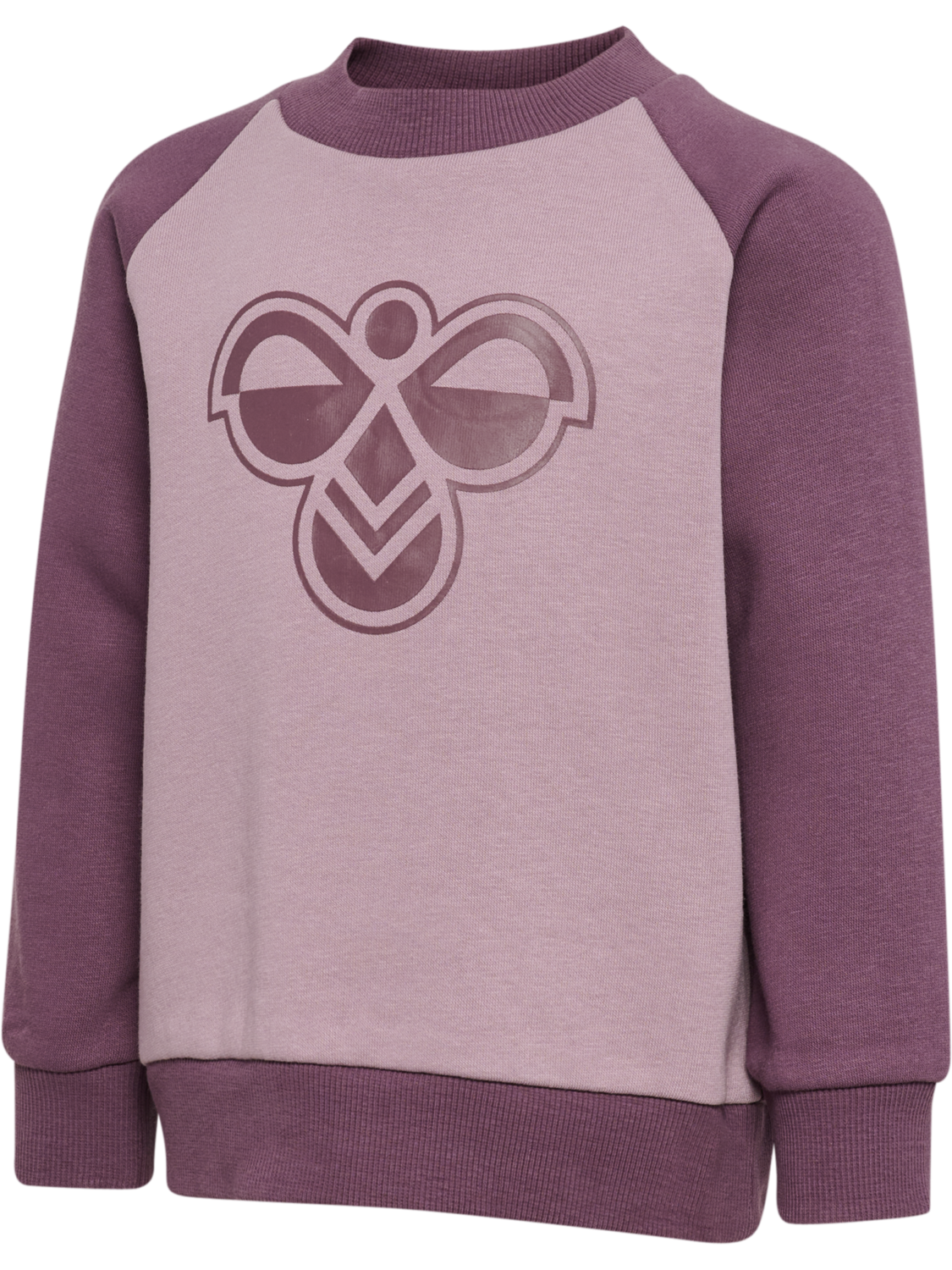 hmlMINI REG BUMBLE SET, BLACK PLUM, packshot