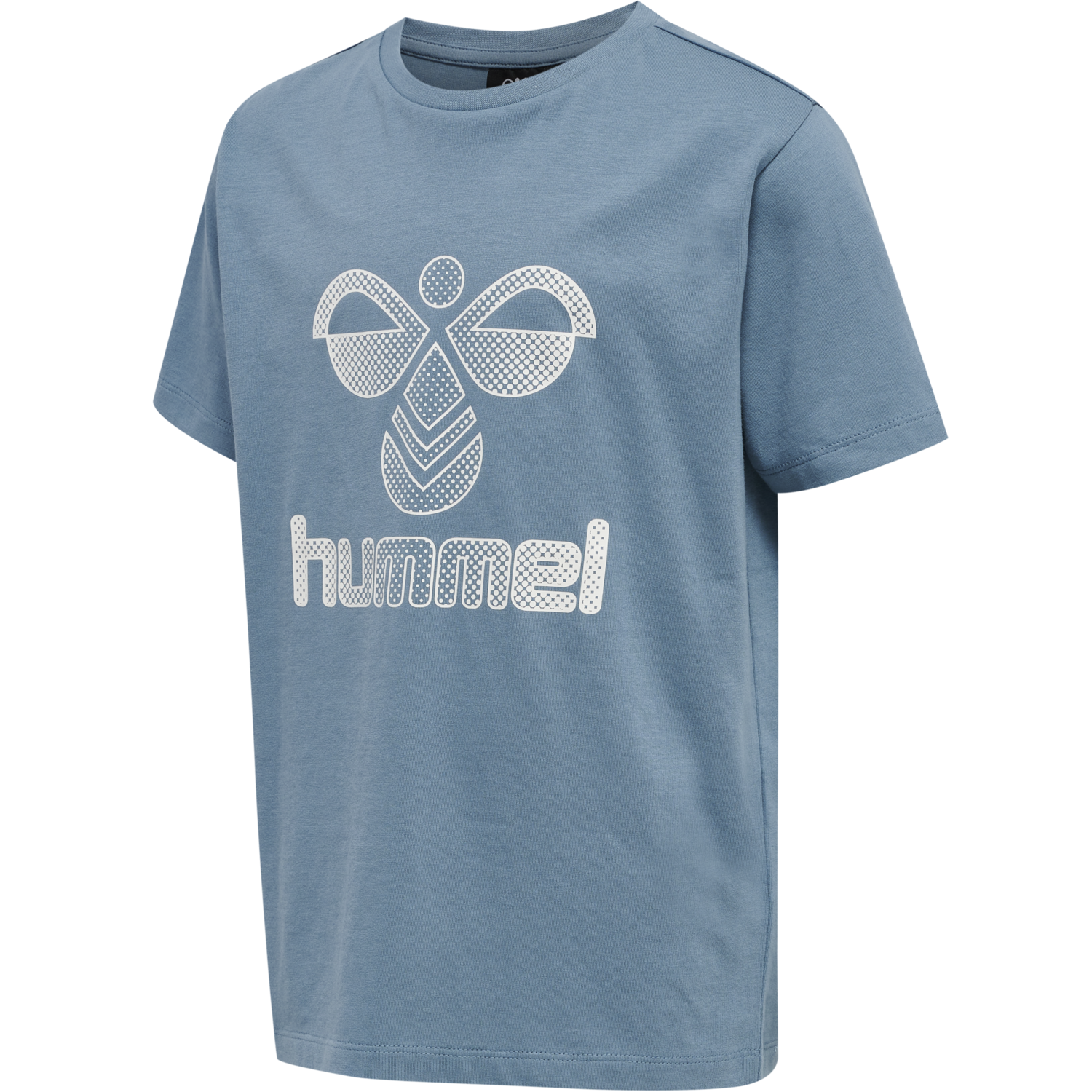 hmlPROUD T-SHIRT S/S, BLUESTONE, packshot