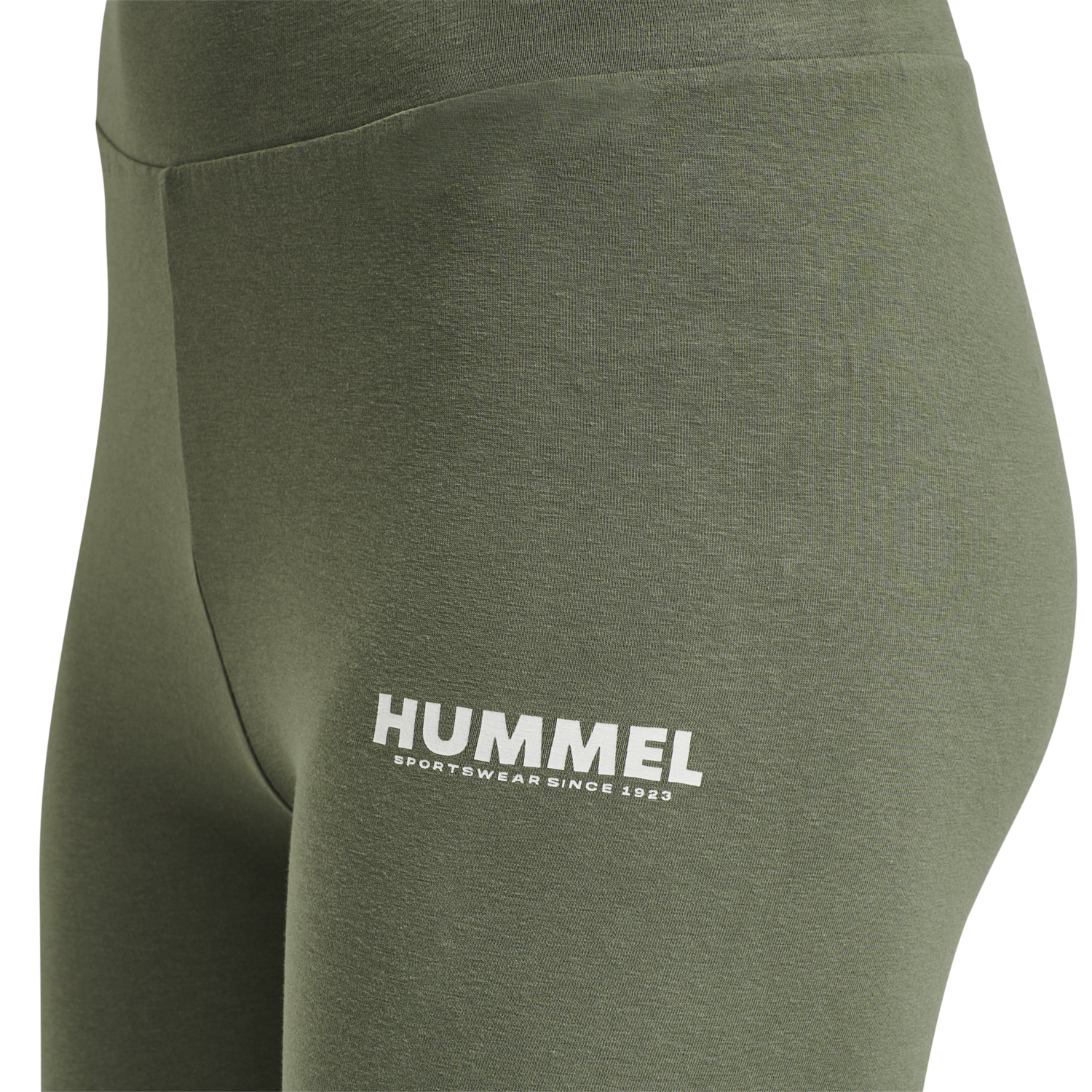 hmlLEGACY WOMAN HIGH WAIST TIGHTS, BEETLE, packshot