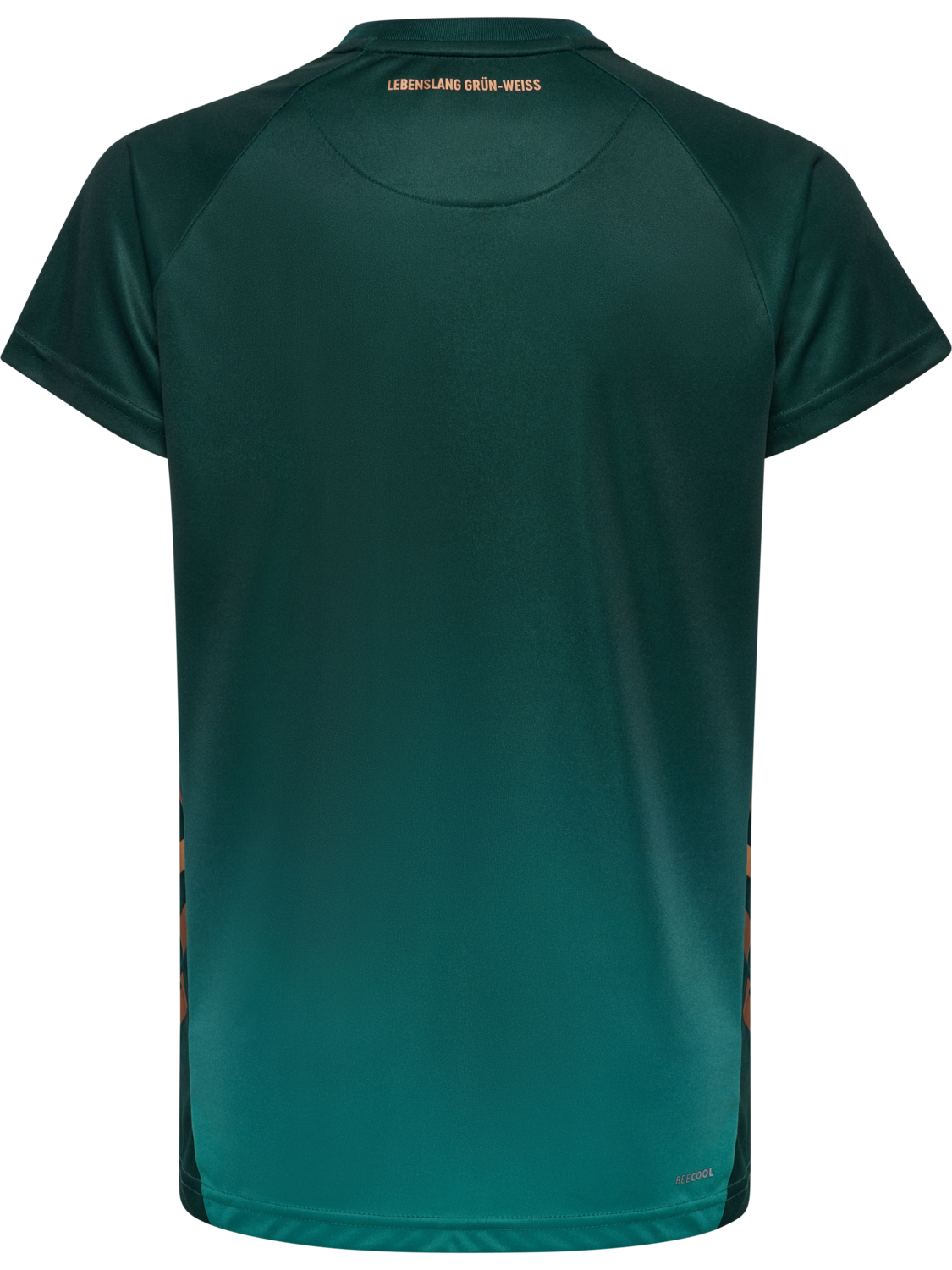 WER 25/26 3RD JERSEY S/S KIDS, SCARAB, packshot