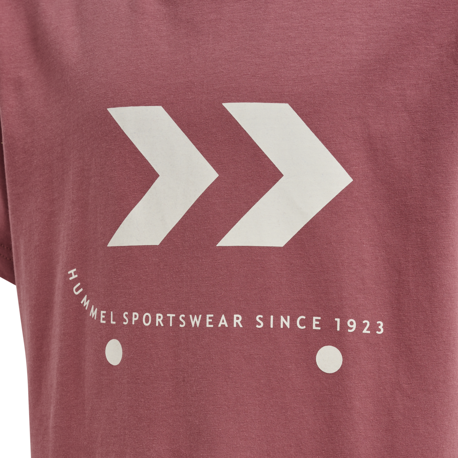 hmlSKATE T-SHIRT S/S, 4338, packshot