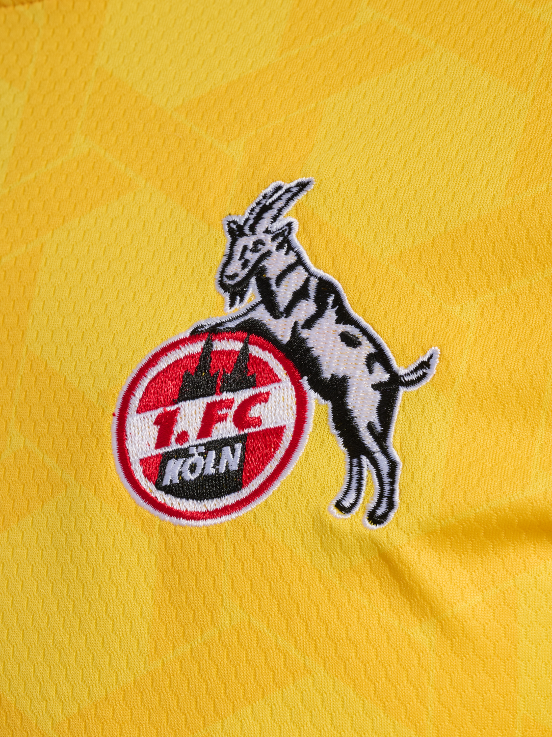 1FCK 23/24 GK JERSEY S/S, DANDELION, packshot