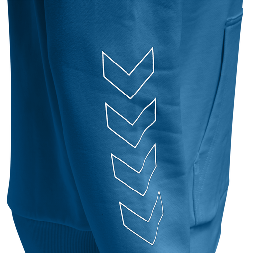 hmlLGC BIRK HOODIE, 7042, packshot