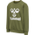 CAPULET OLIVE