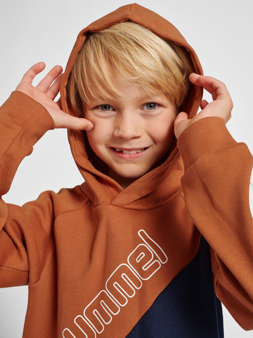 naturlig Artifact komponent hummel AXEL HOODIE - SIERRA | hummel.dk