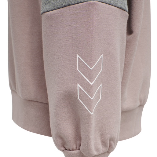 hmlBOXLINE HOODIE, WOODROSE, packshot