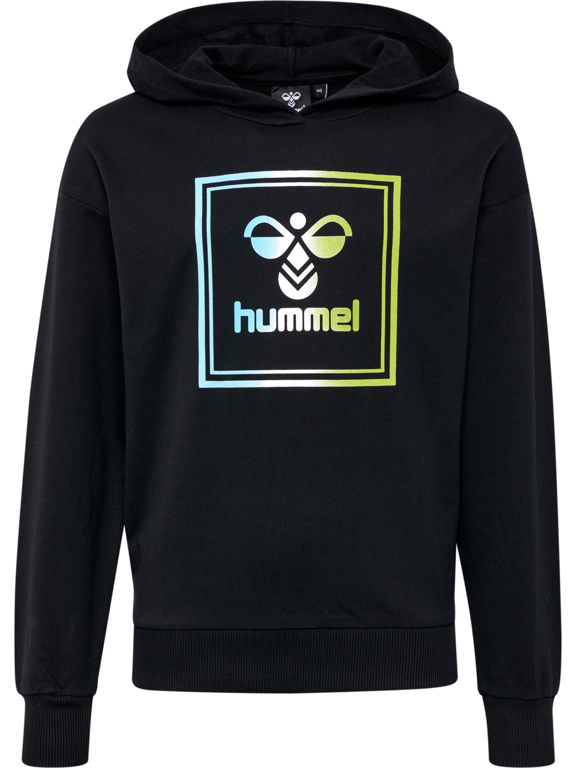 HMLLEIDEN HOODIE, BLACK IRIS/OIL BLUE, packshot