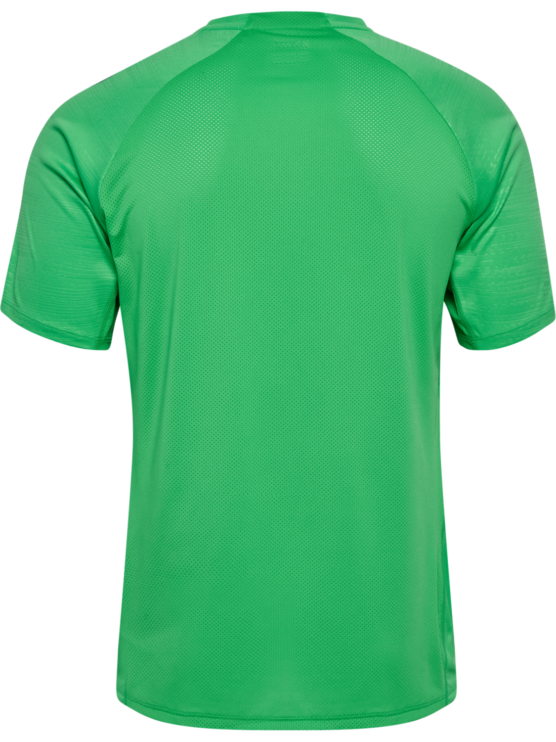 WER 26/27 TR PRO JERSEY S/S, ISLAND GREEN WO SPONSOR, packshot