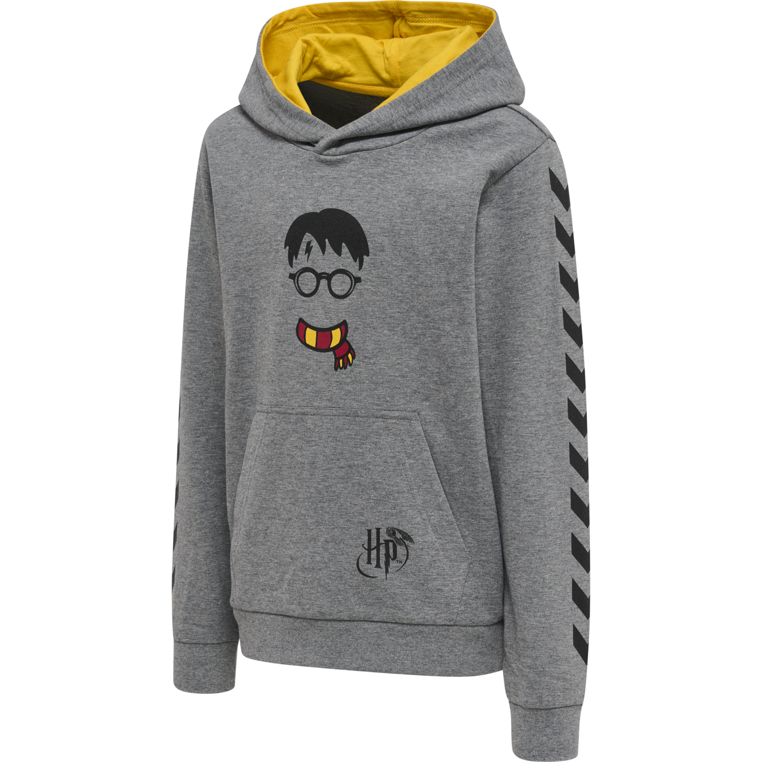 hmlHARRY POTTER CUATRO HOODIE, MEDIUM MELANGE, packshot